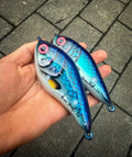Franky Flash ”Shallow”
